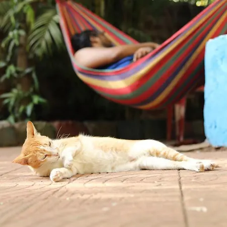 Goanvibes Hostel-2